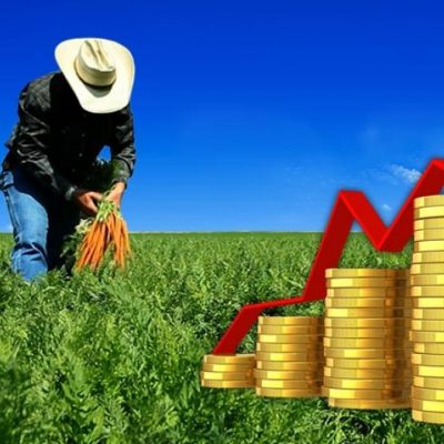 اقتصاد کشاورزی